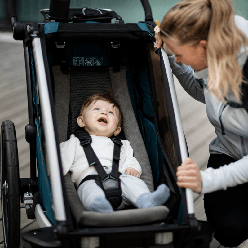Thule Chariot babyhangmat