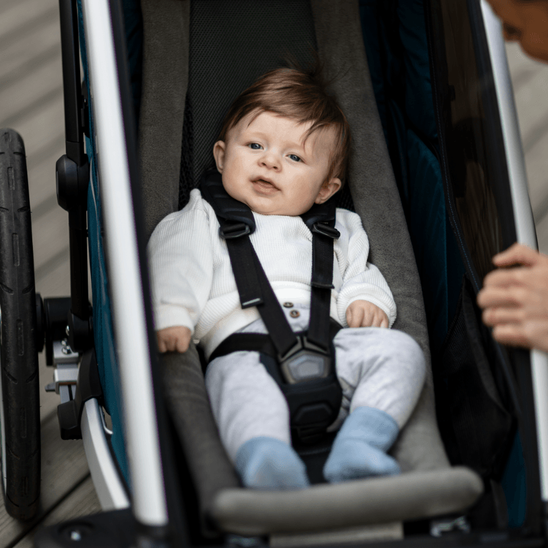 Thule Chariot babyhangmat